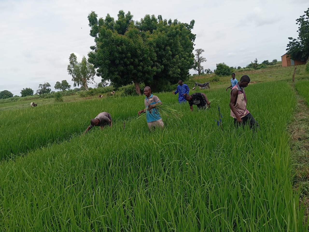 Accompagnement des producteurs