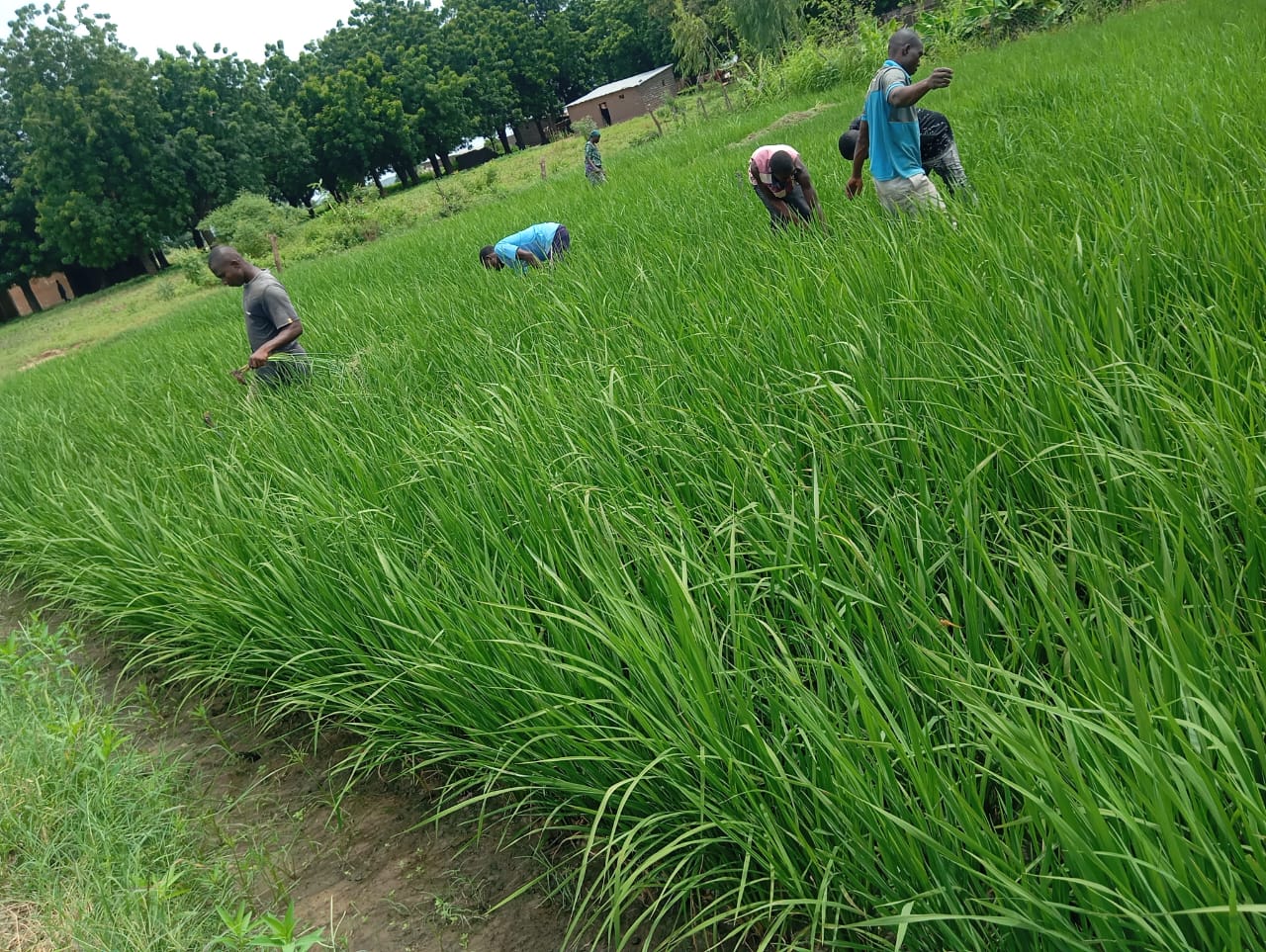 Accompagnement des producteurs