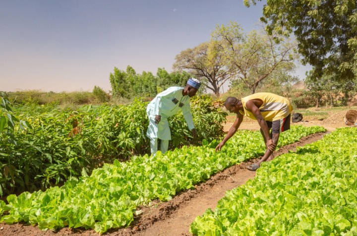 Projet AGRI-CHALLENGE DIFFA