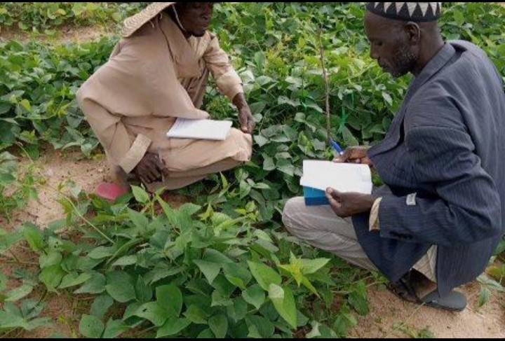 Accompagnement des producteurs