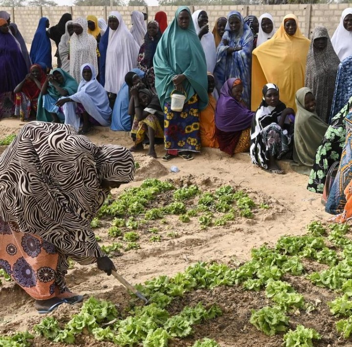 Accompagnement des producteurs